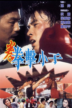 Destiny's Champion (1984)