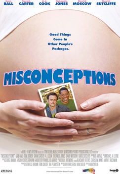 Misconceptions (2008)