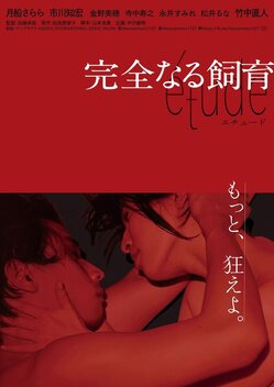 Perfect Education: �tude (2020)