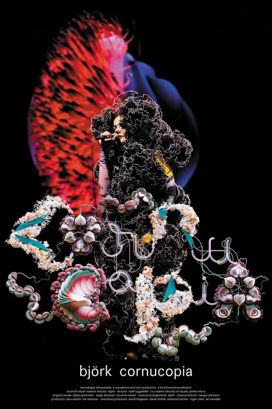 Cornucopia Book - Björk Official Store