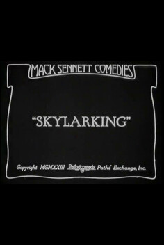 Skylarking (1923)