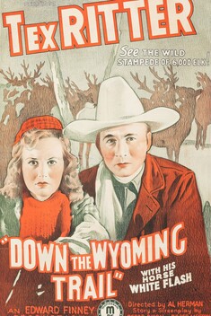 Down the Wyoming Trail (1939)