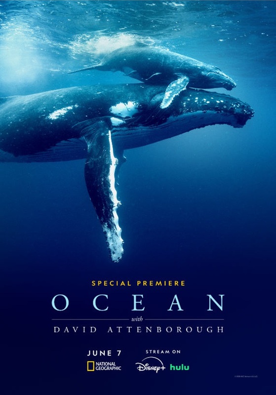 プラネット・オーシャン/海の惑星 [Blu-ray] Ocean with David Attenborough (2025)