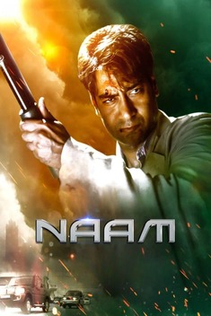 Naam - The Missing Identity (2024)