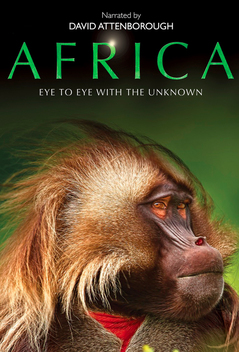 Africa (2013)