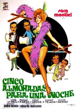 Five Pillows for One Night (1974)