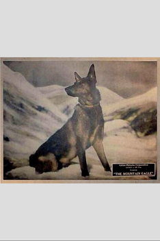 The Mountain Eagle (1926)