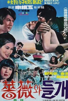 Blood and Rose (1976)