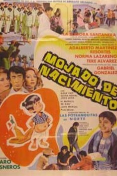 Mojado de Nacimiento (1981)