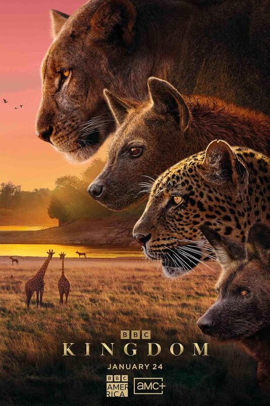 Kingdom (2025)