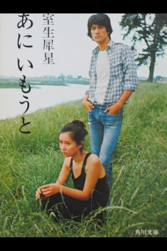 Brother and Sister (1976)