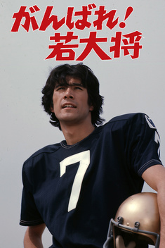 Greatest Game Ever (1975)