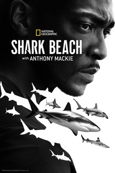 Shark Beach with Anthony Mackie: Gulf Coast (2024)