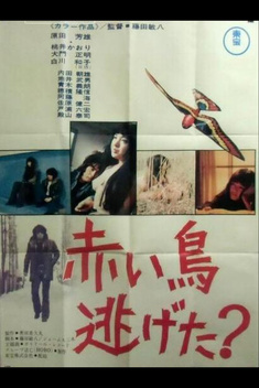 Did the Red Bird Escape? (1973)