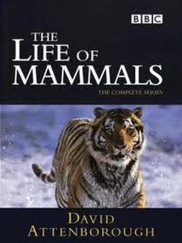 The Life of Mammals (2002-2003)