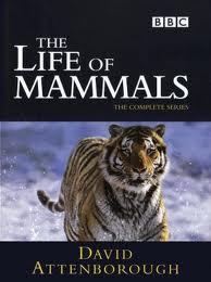 The Life of Mammals (2002 - 2003)