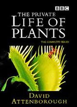 The Private Life of Plants (2005)