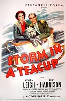 storm in a teacup 1937