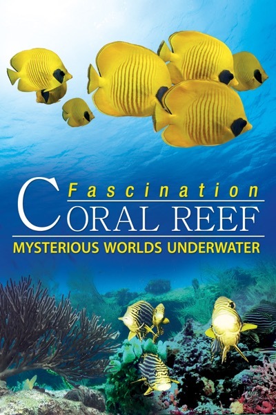 Fascination Coral Reef 3D: Mysterious Worlds Underwater (2013)