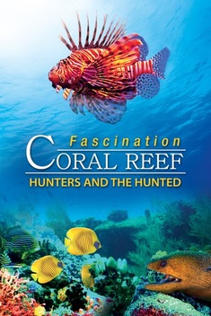 Fascination Coral Reef 3D: Hunters and the Hunted (2012)