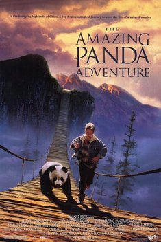 The Amazing Panda Adventure (1995)