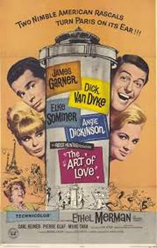 The Art of Love (1965)