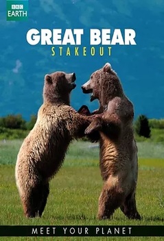 Great Bear Stakeout (2012)