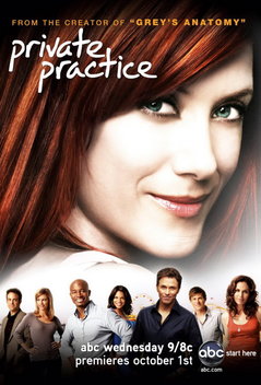 Private Practice (2007-2013)