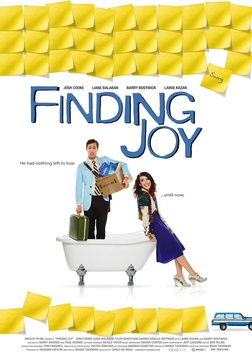 Finding Joy (2013)