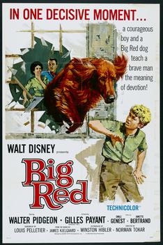 Big Red (1962)