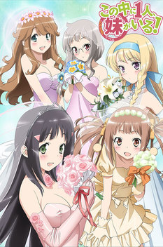 Nakaimo My Little Sister Is Among Them! (2012-2013)