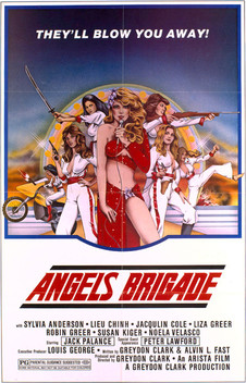 Angels Brigade (1979)