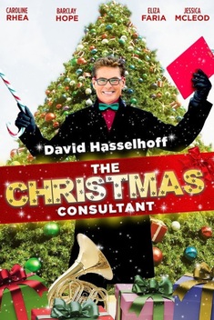 The Christmas Consultant (2012)