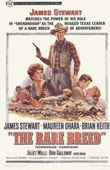 The Rare Breed (1966)