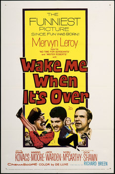 Wake Me When It's Over (1960)