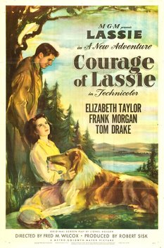 Courage of Lassie (1946)