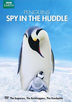 Penguins: Spy in the Huddle (2013)