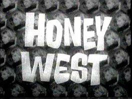 Honey West (1965-1966)