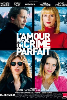 Love Is the Perfect Crime (2013)