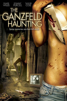 The Ganzfeld Haunting (2013)