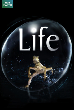 Life (2009)