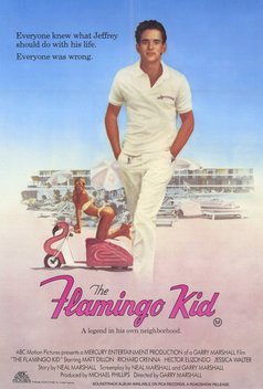 The Flamingo Kid (1984)