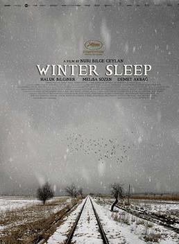 Winter Sleep (2014)