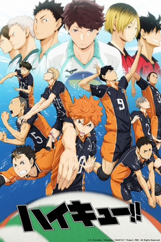 Haikyu!! (2014-)