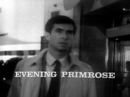 Evening Primrose (1966)