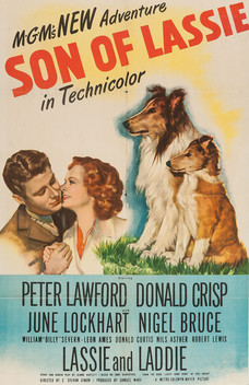 Son of Lassie (1945)