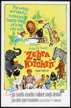 Zebra in the Kitchen (1965)