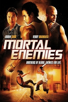 Mortal Enemies (2011)