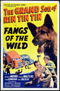 Fangs of the Wild (1939)