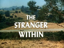 The Stranger Within (1974)